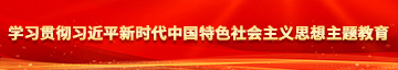 欧美黑女人干骚逼学习贯彻习近平新时代中国特色社会主义思想主题教育