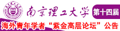 WWW美色吧com南京理工大学第十四届海外青年学者紫金论坛诚邀海内外英才！